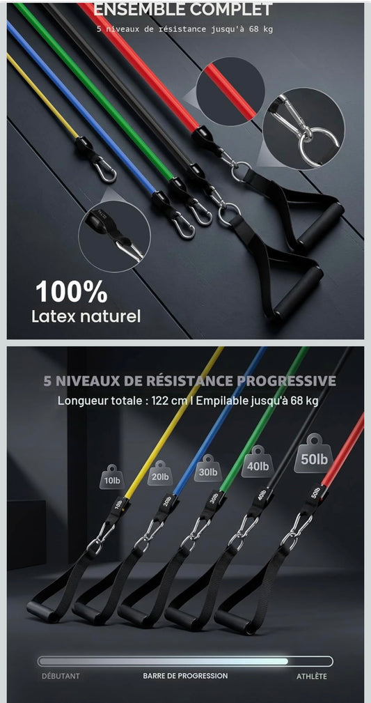 ZEFIT Resistance Bands Set – Full Home Workout Kit